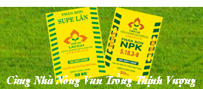 B_Quangcaolan