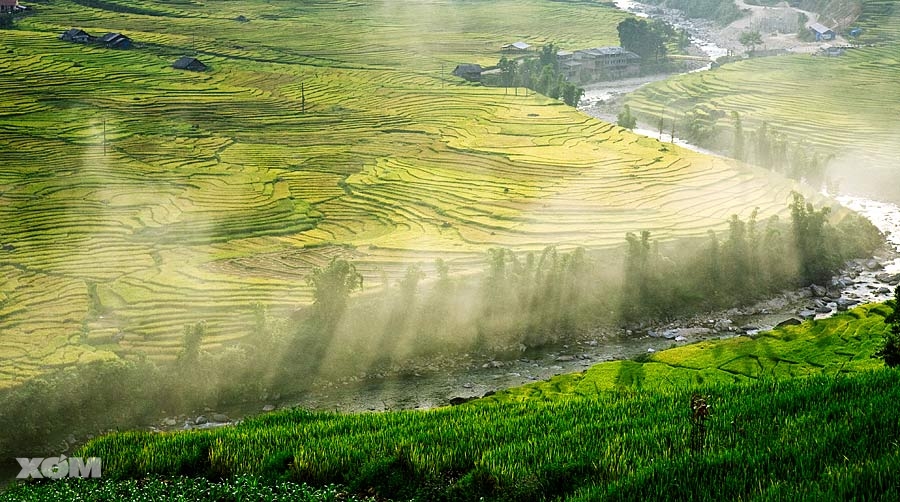 Thị trường phân bón quốc tế đến ngày 29/10/2012