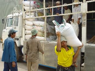 XK 2009: Khẩn trương tìm thị trường mới
