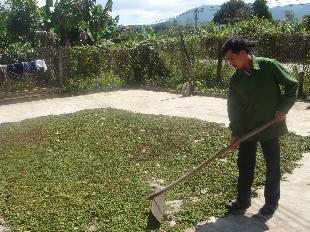 Sơn Thành ngày mới