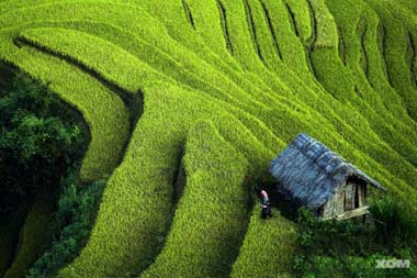 Thị trường phân bón trong nước tháng 06/2014