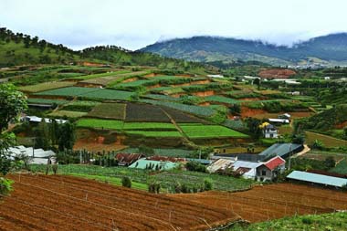 Thị trường phân bón trong nước đến ngày 18/9/2012