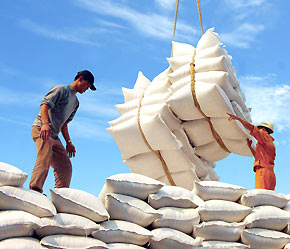Hoạt động xuất khẩu 15 ngày đầu tháng 2/2009 