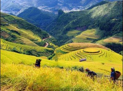 Dự báo thị trường phân bón 2012 ít biến động