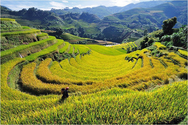 Thị trường phân bón quốc tế đến ngày 20/2/2014