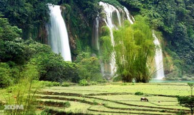 Thị trường phân bón quốc tế đến ngày 20/3/2014