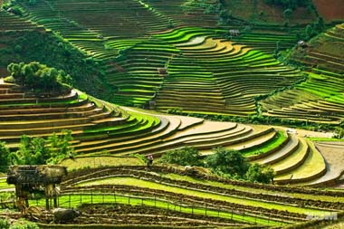 Thị trường phân bón trong nước tháng 8 năm 2013