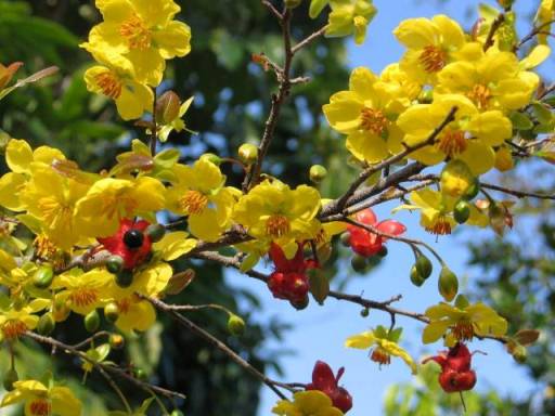 APROMACO trước thềm năm mới 2014