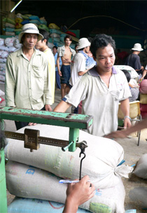 Thị trường châu Phi: Lối ra mới cho gạo Việt?