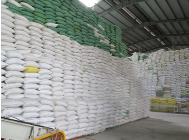 Đẩy mạnh hợp tác cung ứng phân bón và thu mua lúa gạo xuất khẩu