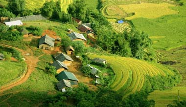 Thị trường phân bón quốc tế tuần từ 24/8 -31/8/2012